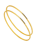 20 gr 22 Ayar Ajda Bilezik ( 10gr x 2 Adet )